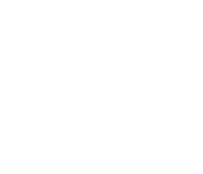 Wireframe drawing of the Spark-1 reentry vehicle in free flight